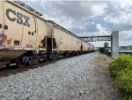 CSXT 262143